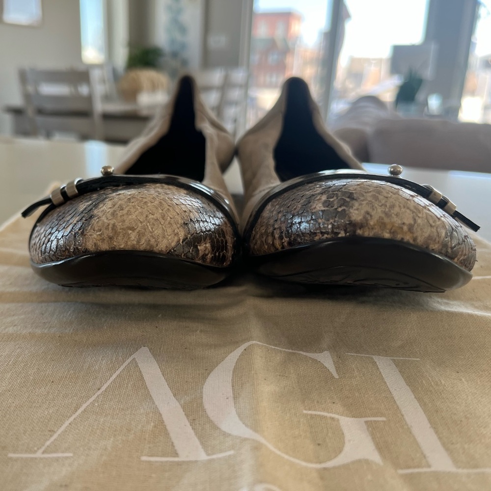 AGL Attilio Giusti Leombruni - Suede
Captoe Buckle Ballet Flats - Size EU 39 - Picture 3 of 7